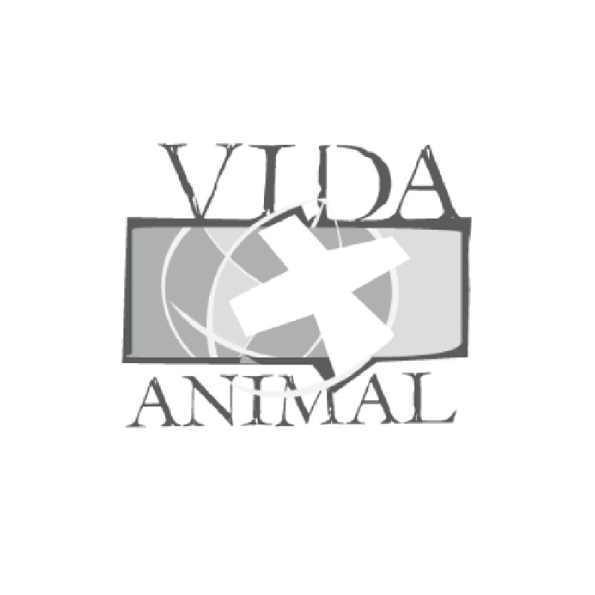 vida animal